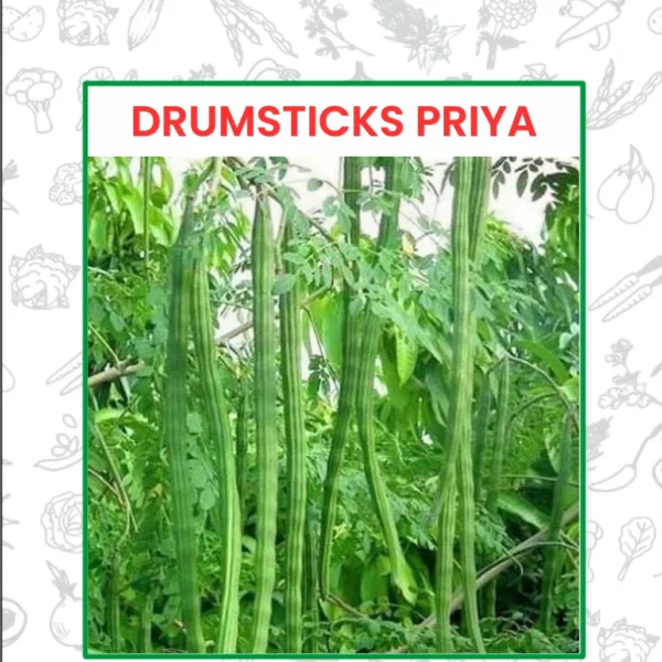 Drumsticks Priya