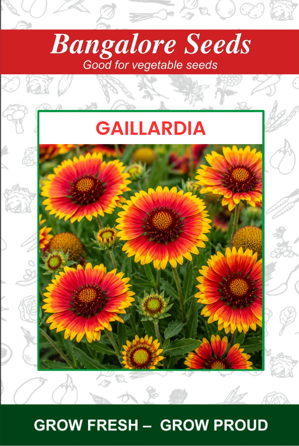 Gaillardia Gaillardia Flower Seeds - Image 1
