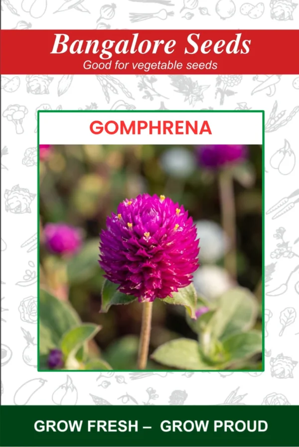 Gomphrena Flower Seeds