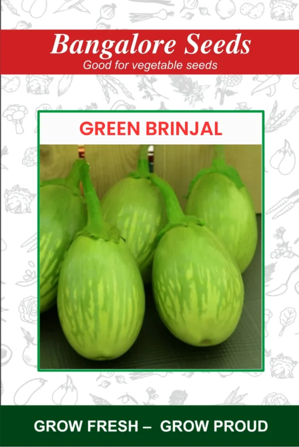 Brinjal-Green