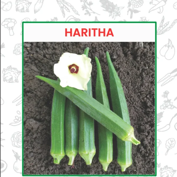 Bendi-Haritha