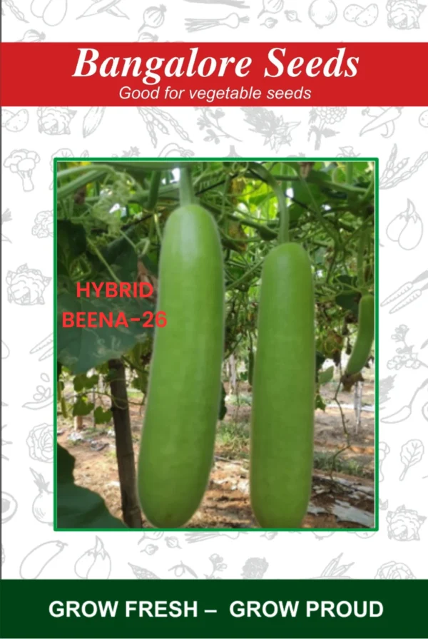 Hybrid Beena-26 Seeds