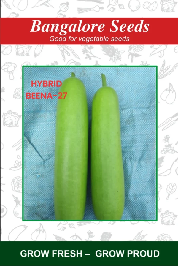 Hybrid Beena-27 Seeds