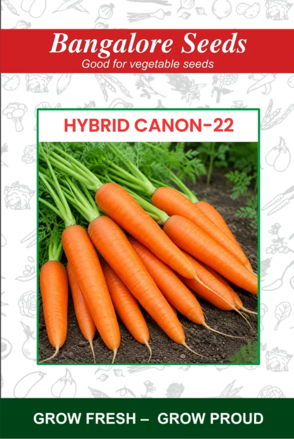 Hybrid Canon-22 Carrot Seeds
