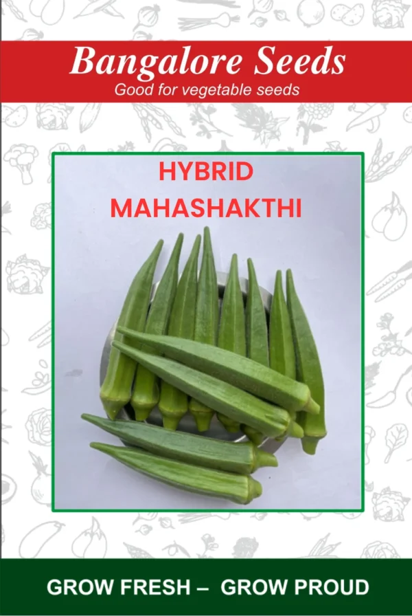 Hybrid Bhendi Mahashakthi