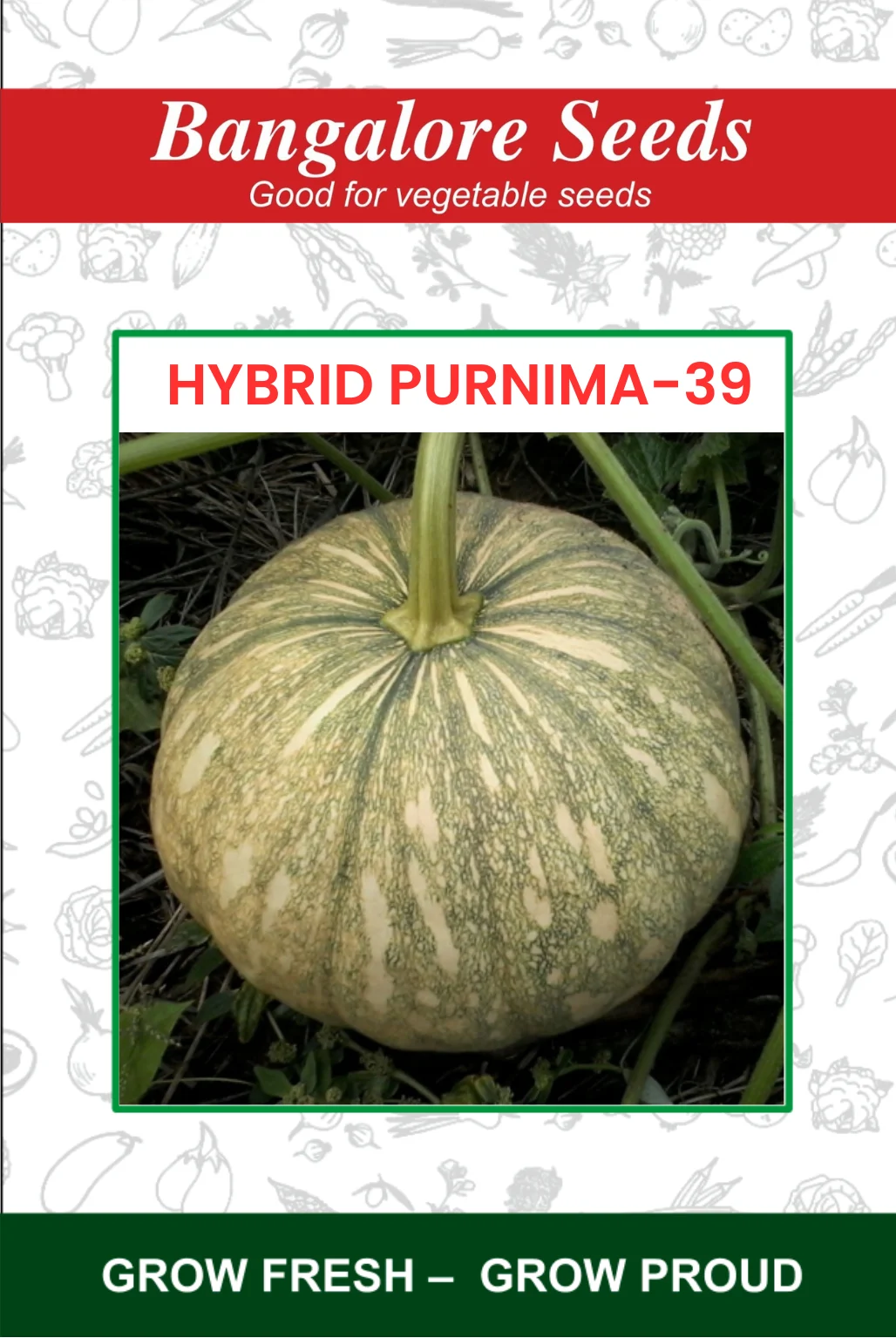 Hybrid Purnima-39 Hybrid Purnima-39 Pumpkin - Image 1