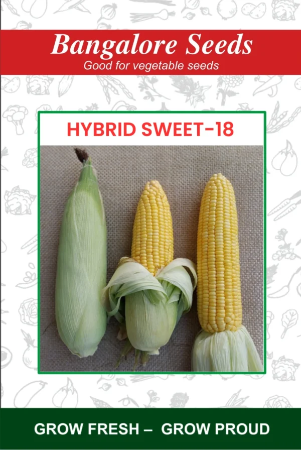 Hybrid Sweet-18 Sweet Corn