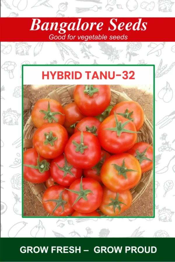 Hybrid Tanu-32 Tomato