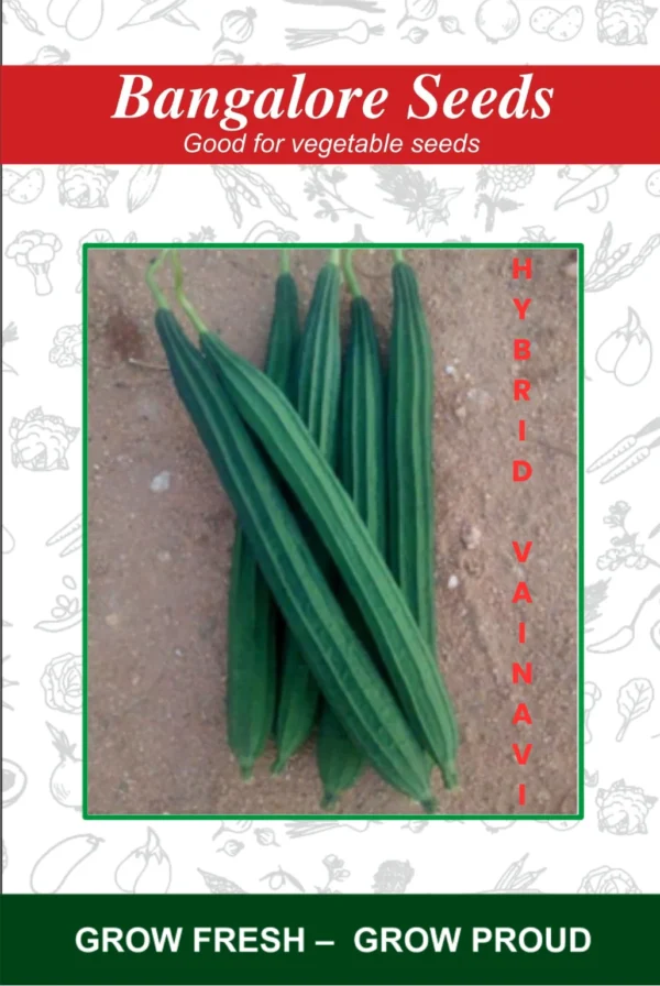 Hybrid Vainavi Ridge Gourd