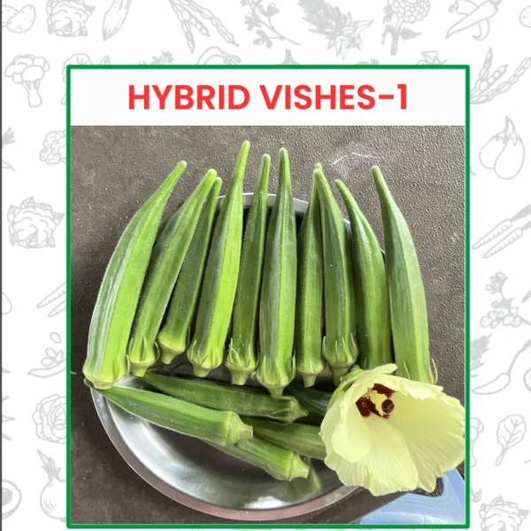 Hybrid Vishesh-1 Okra Seeds
