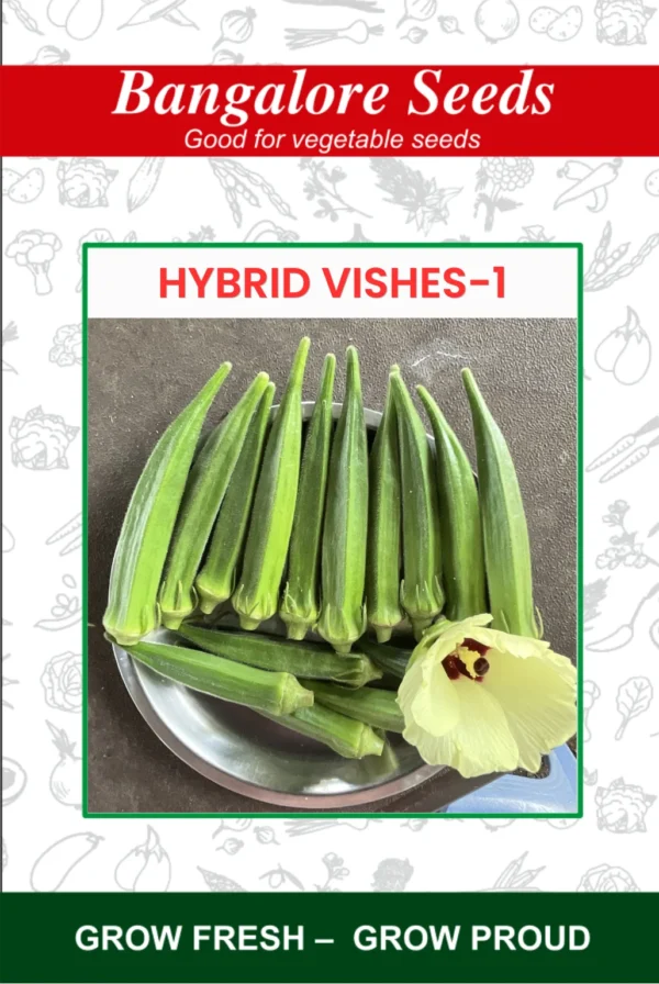 Hybrid Vishesh-1 Okra Seeds