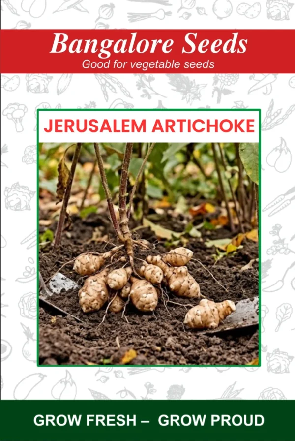 Hybrid Jerusalem Artichoke Seeds