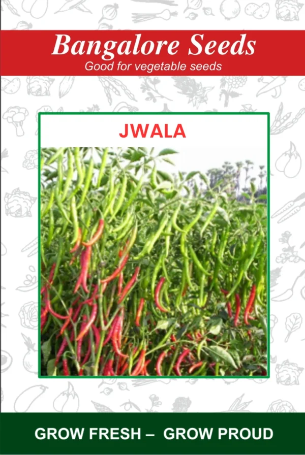 Chilli Jwala Seeds