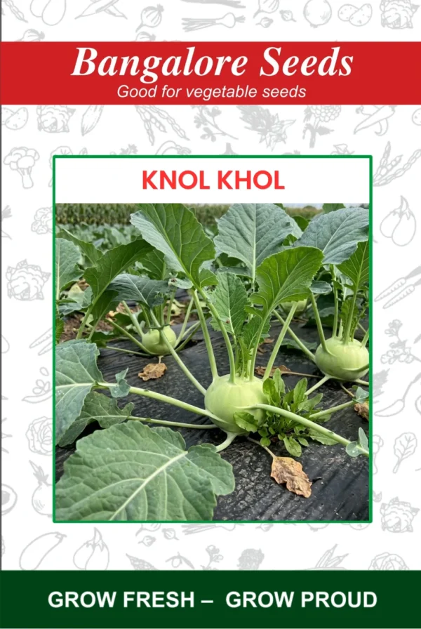Knol Khol Seeds