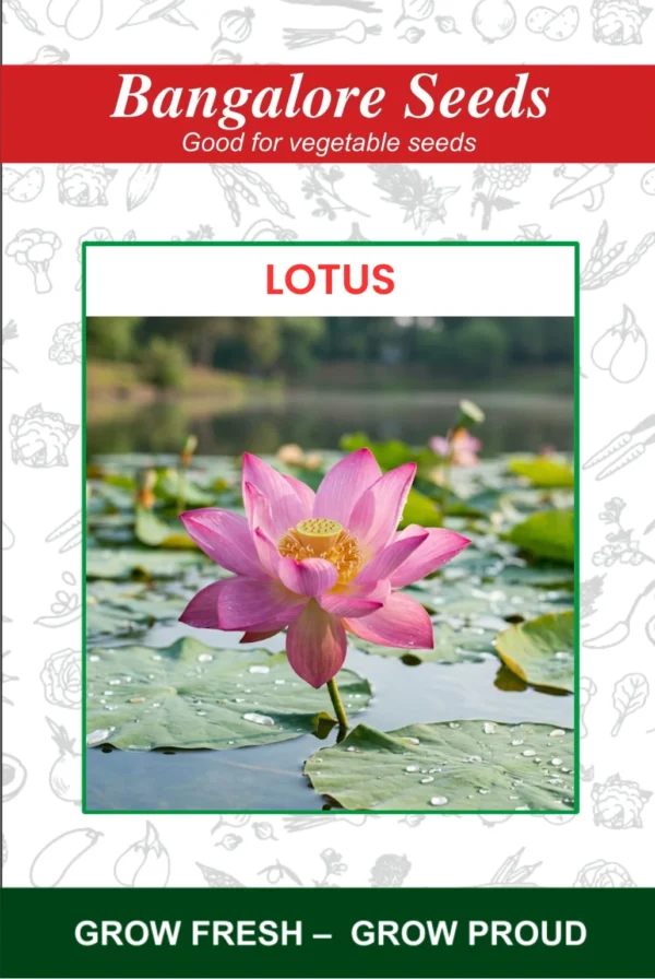 Lotus Flower Seeds