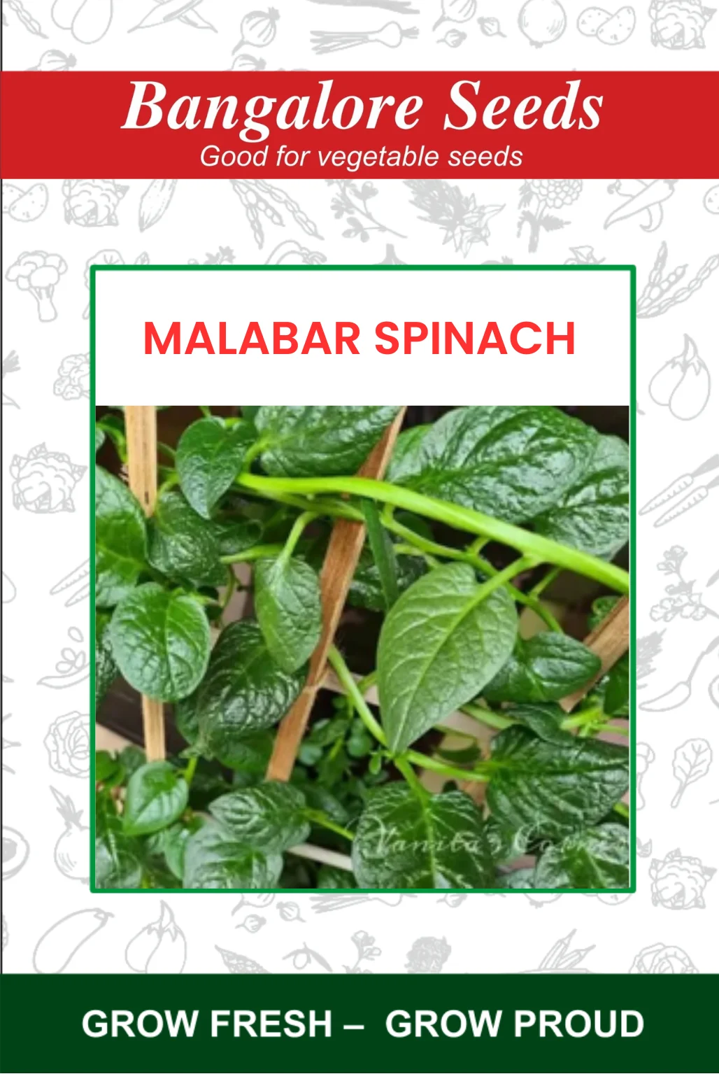 Malabar Spinach Malabar Spinach - Image 1
