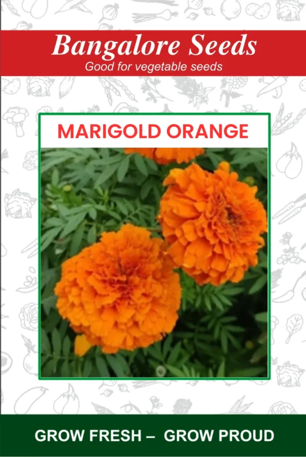 Marigold Orange Flower Seeds