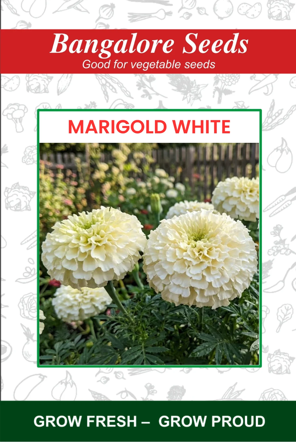 Marigold White Marigold White Flower Seeds - Image 1