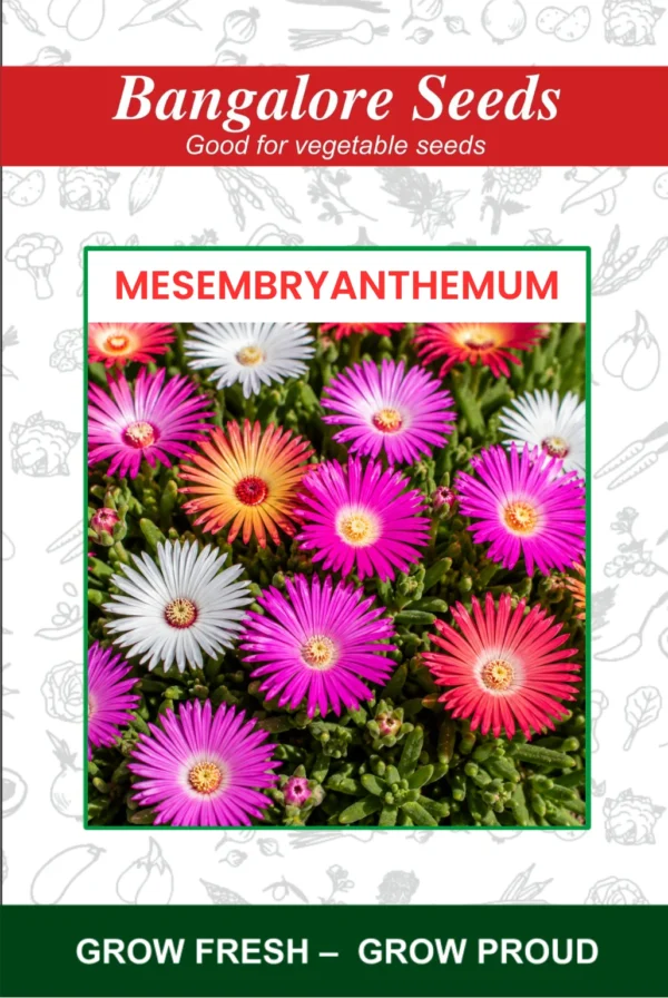 Mesembryanthemum Flower Seeds