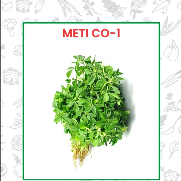 Methi CO-1