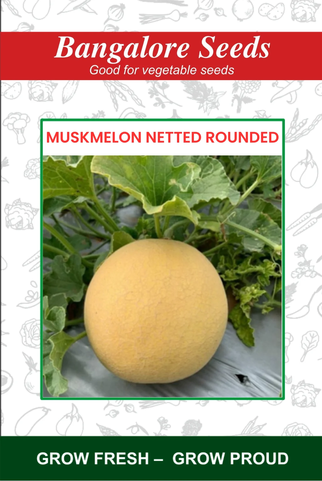 Muskmelon Netted Rounded Muskmelon Netted Rounded Seeds - Image 1