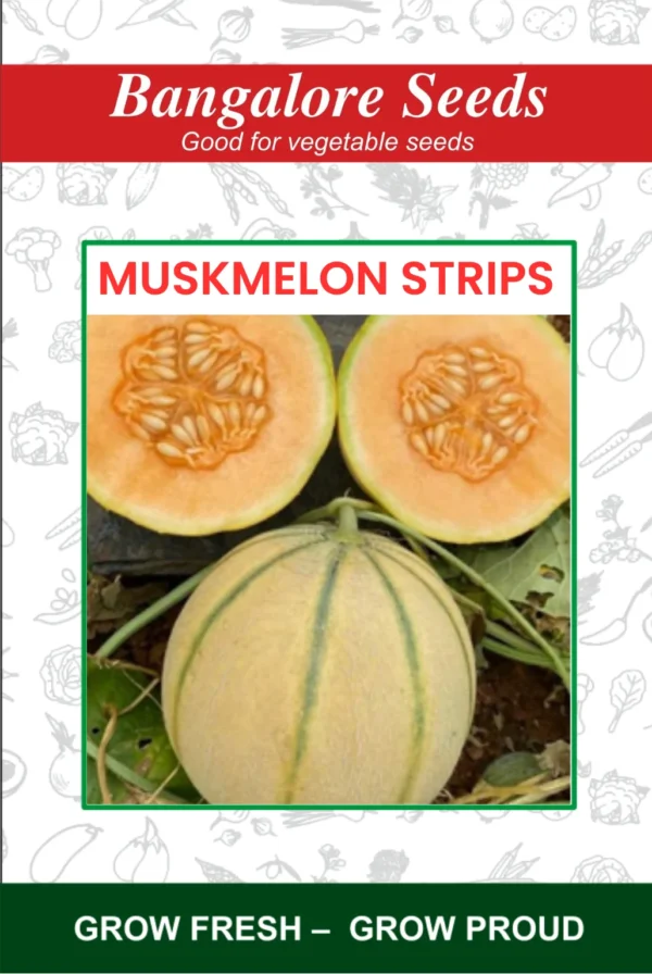 Muskmelon Strips Seeds