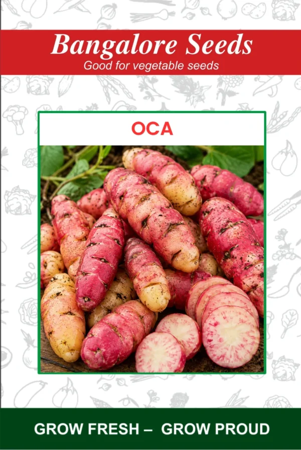 Oca Seeds