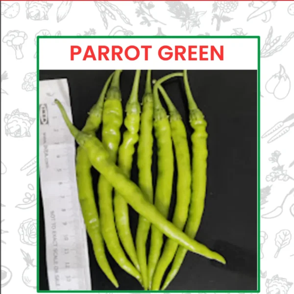 Parrot Green Chilli Seeds