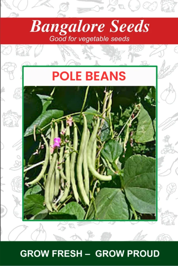 Pole Beans Light Green
