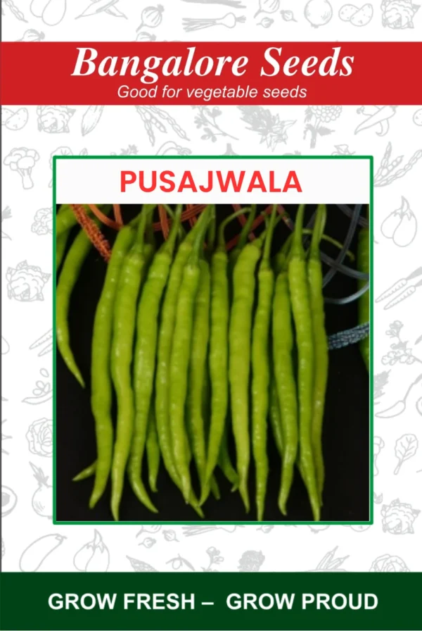 Chilli Pusa Jwala