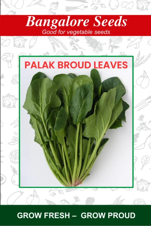 Palak Broad Leaves