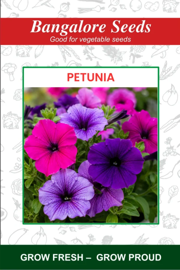 Petunia Flower Seeds