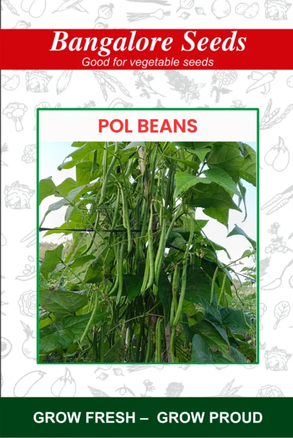 Pole Beans Green