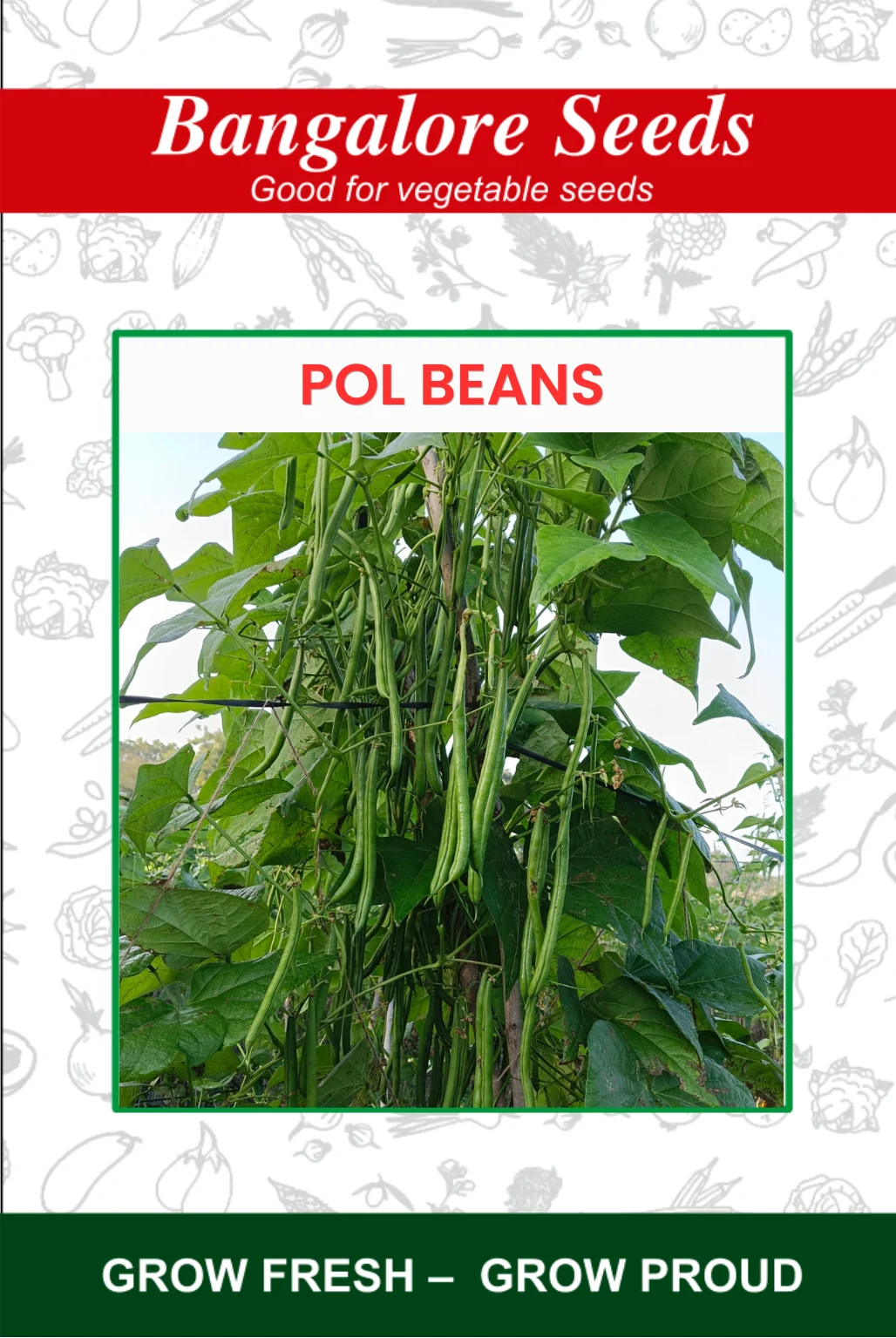 Pol Beans Pole Beans Green - Image 1