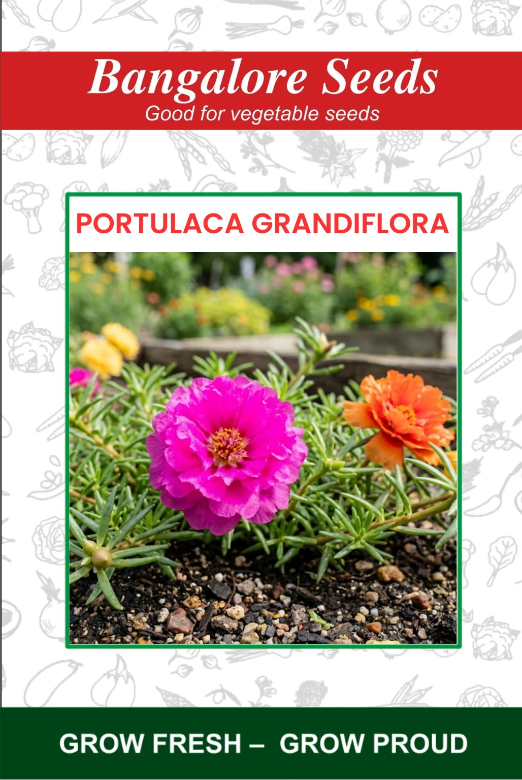 Portulaca Grandiflora Portulaca Grandiflora Flower Seeds - Image 1