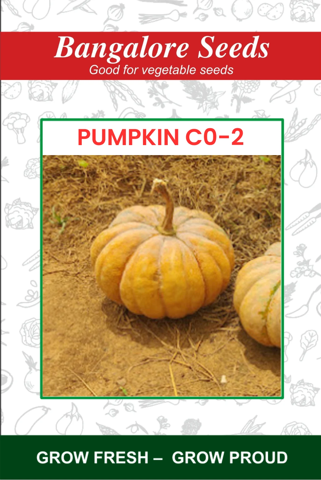 Pumpkin C0-2 Pumpkin CO-2 - Image 1