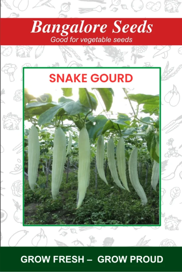 Hybrid Snake Gourd