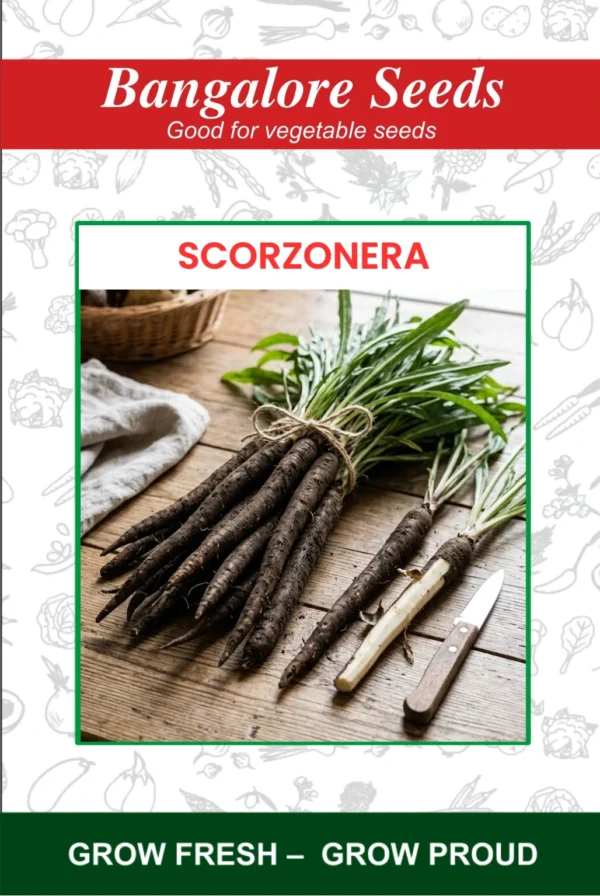 Scorzonera Seeds