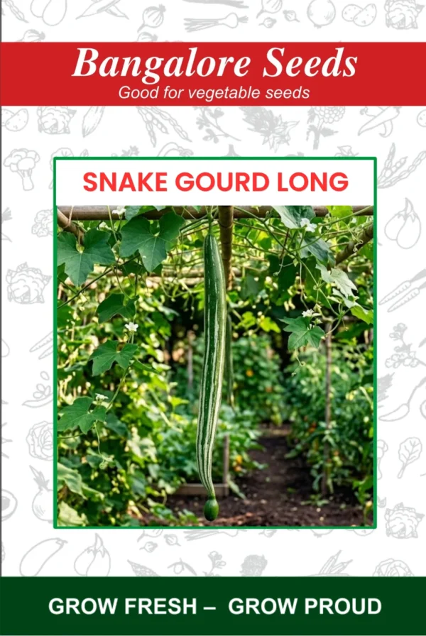 Snake Gourd Long