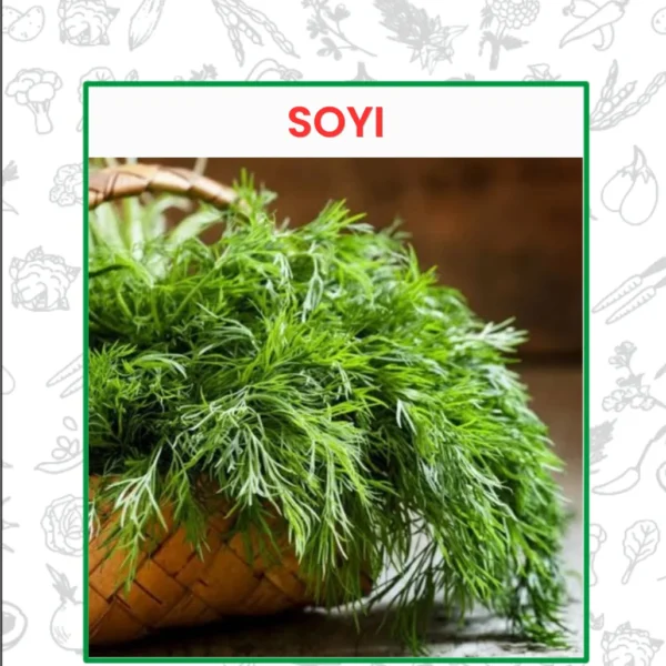 Soyi Seeds