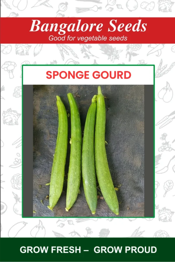 Sponge Gourd Seeds