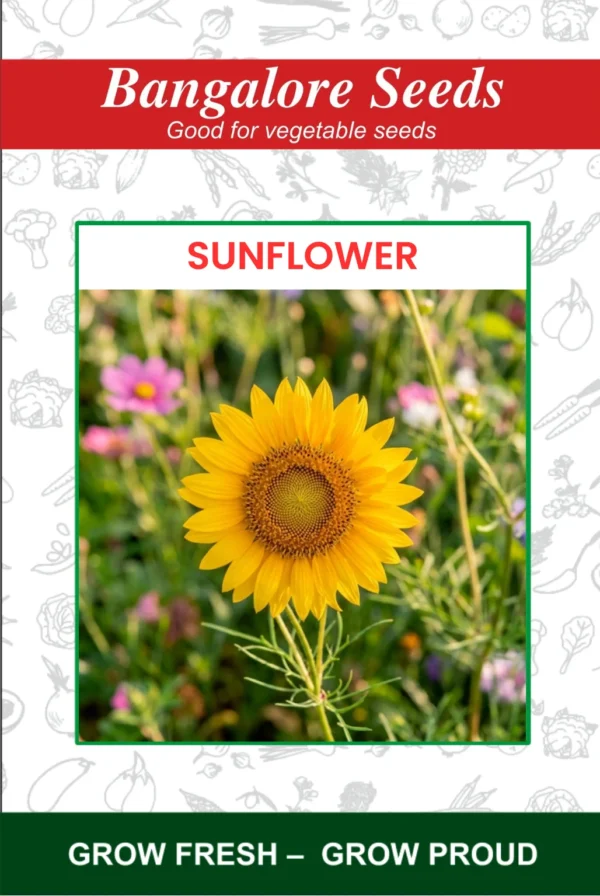 Sunflower Flower Seeds