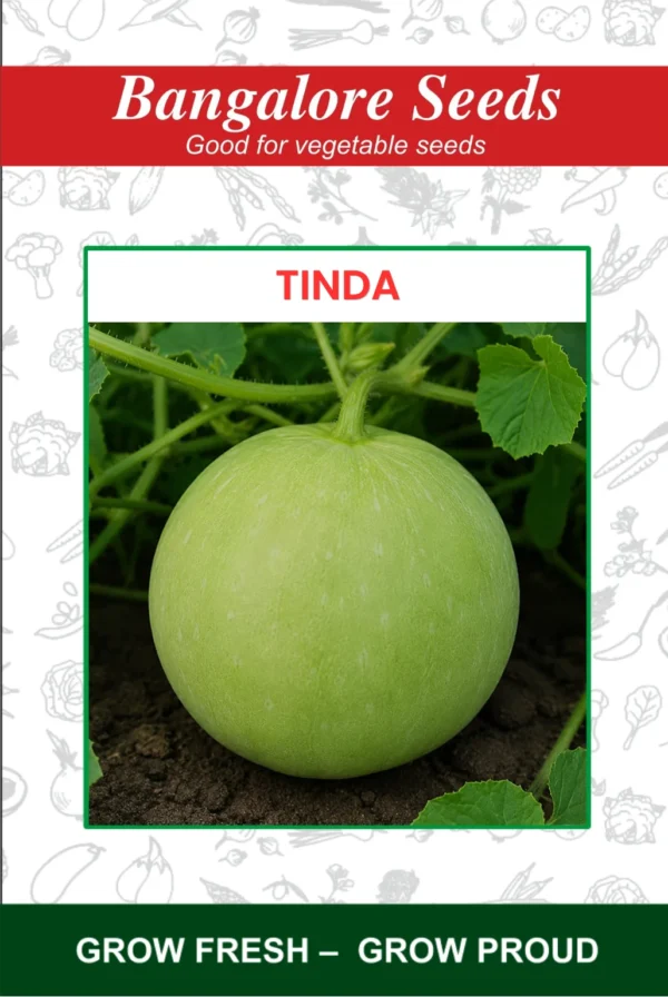 Tinda Seeds - Round Gourd