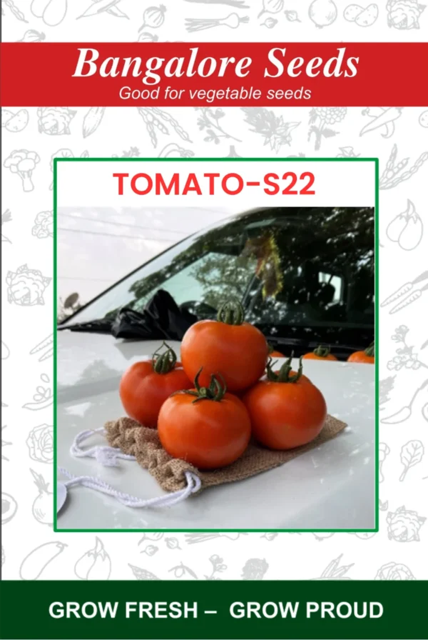 Tomato S22 Seeds