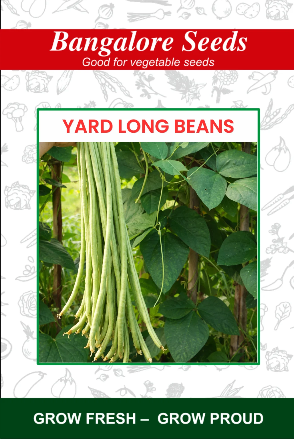Yard Long Beans Yard Long Beans Light Green - Image 1