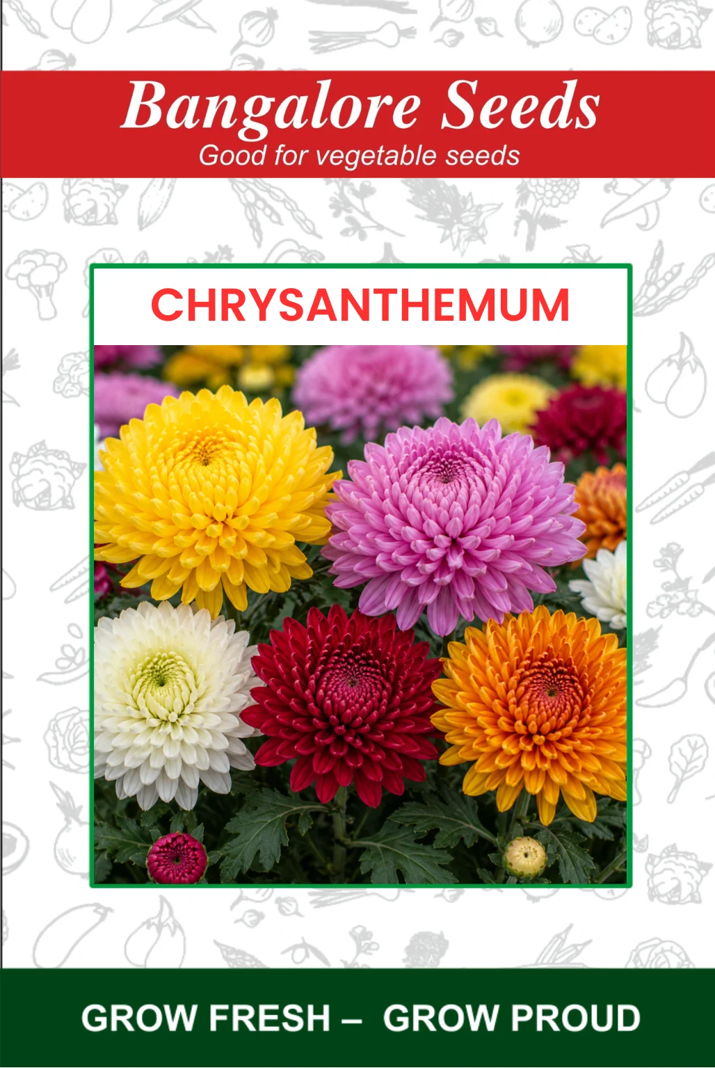 chrysanthemum Chrysanthemum Flower Seeds - Image 1